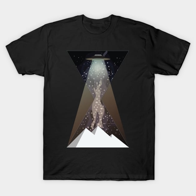 Ufo Pyramids of Time v1 T-Shirt by Twisted By Art